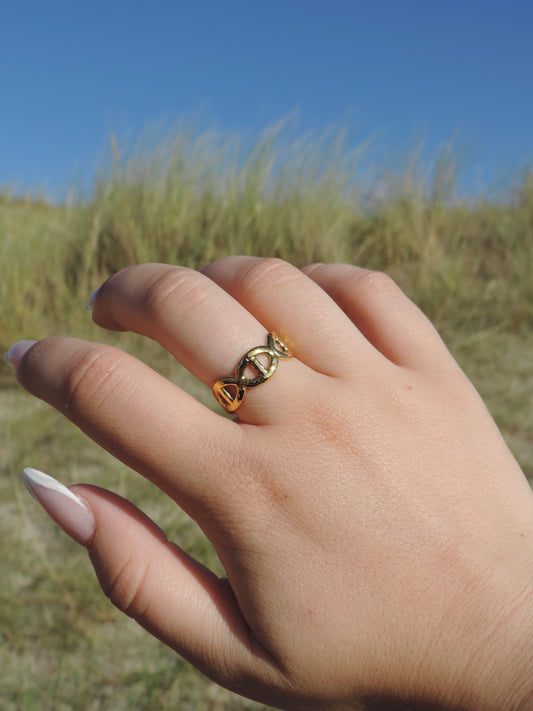 BAGUE ANAÉ