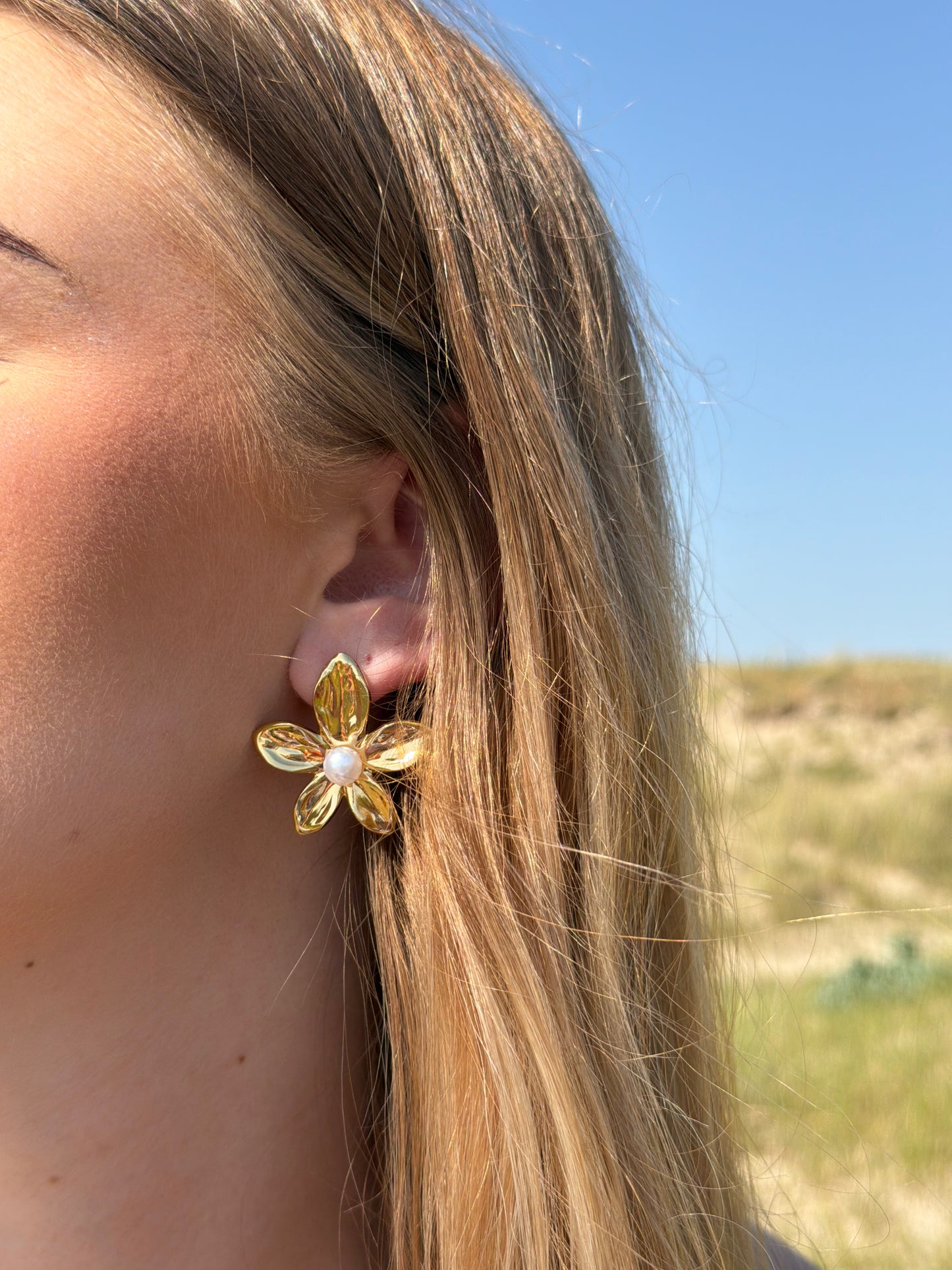 BOUCLES D'OREILLES PERLITA