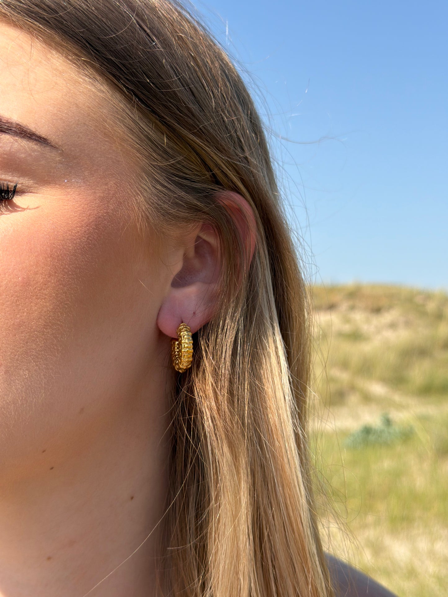 BOUCLES D'OREILLES LYSÉANE