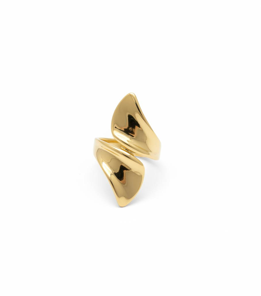 BAGUE NAYA